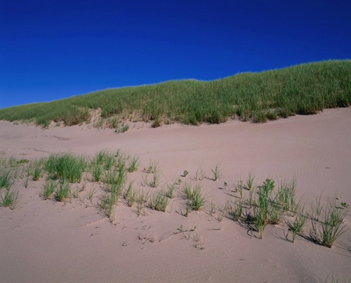 Dune 1, Prince Edward Island, Canadian Maritimes (MF).jpg